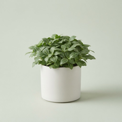 Nerve Plant
